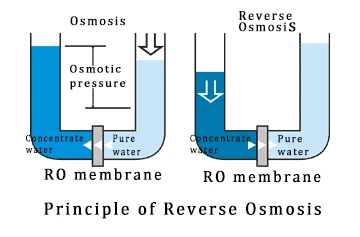 The Principle Of Reverse Osmosis The Principle Of Reverse Osmosis